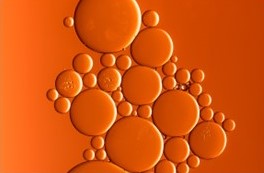 Sustainable chemical production
