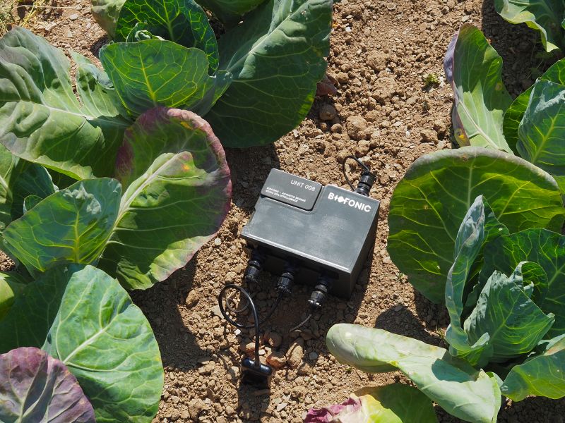 AI soil health monitoring
